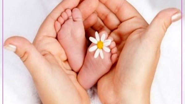 درصد موفقیت ای وی اف با تخمک اهدایی