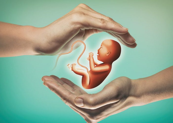 هزینه فریز جنین ۱۴۰۴